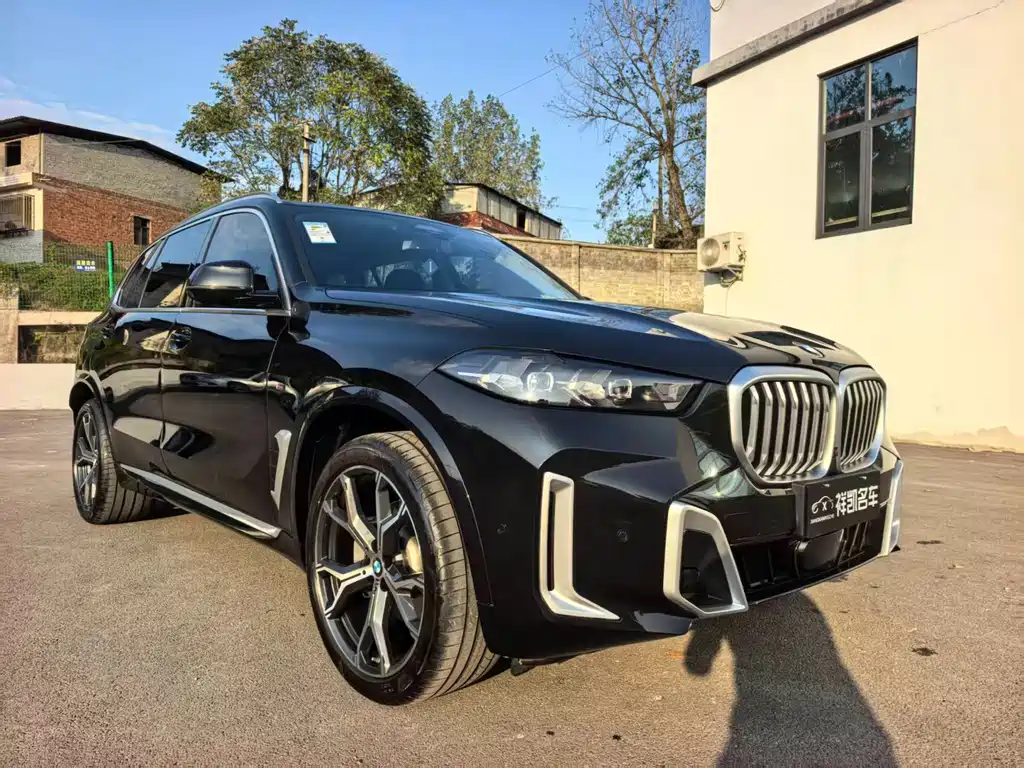 BMW X5 — миниатюра 3