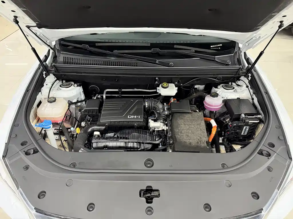 BYD Pro New Energy — миниатюра 11