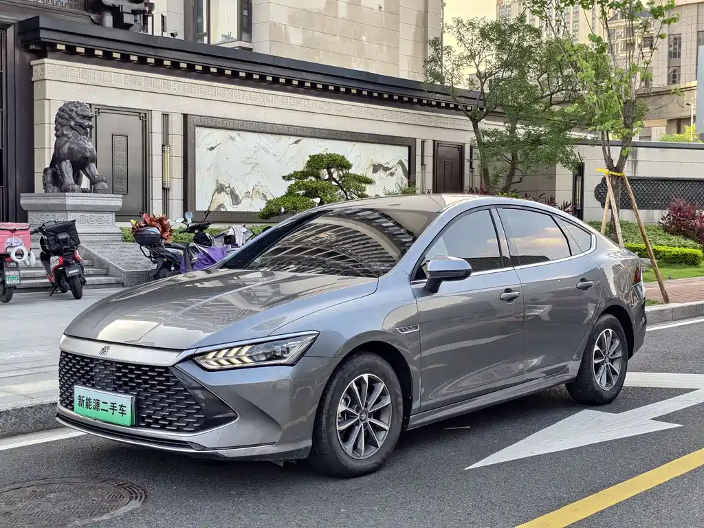 BYD Qin Plus 2024 Glory Edition DM-i 55KM Leading Type