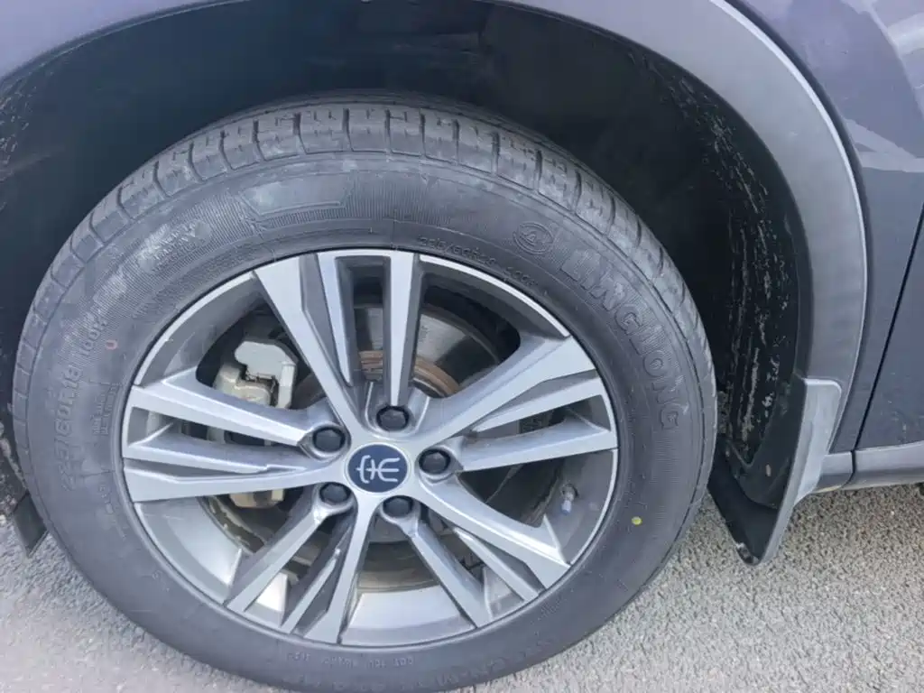BYD Pro — миниатюра 23