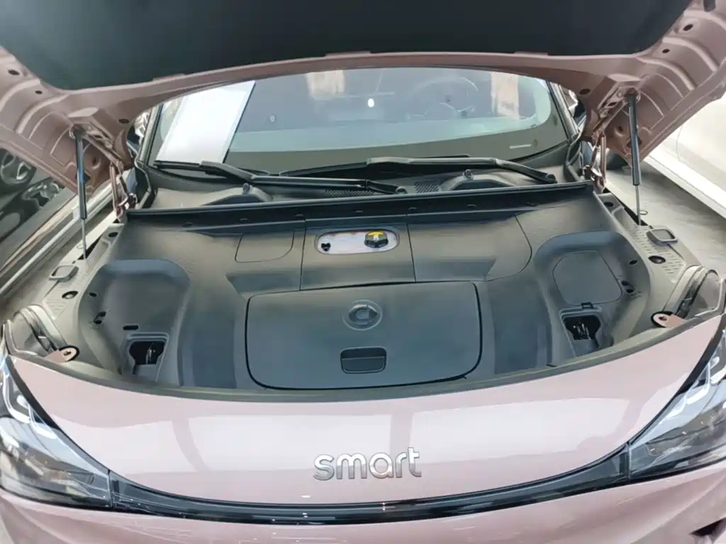 smart Smart #1 — миниатюра 20