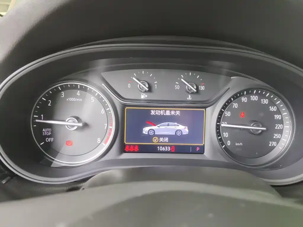 Buick Regal — миниатюра 12