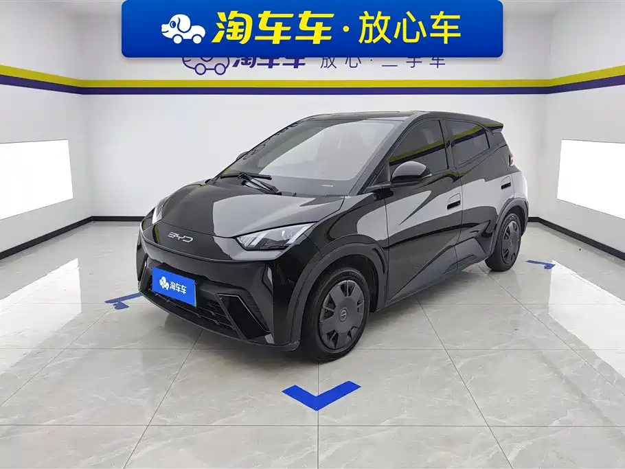 Byd Seagull 2024