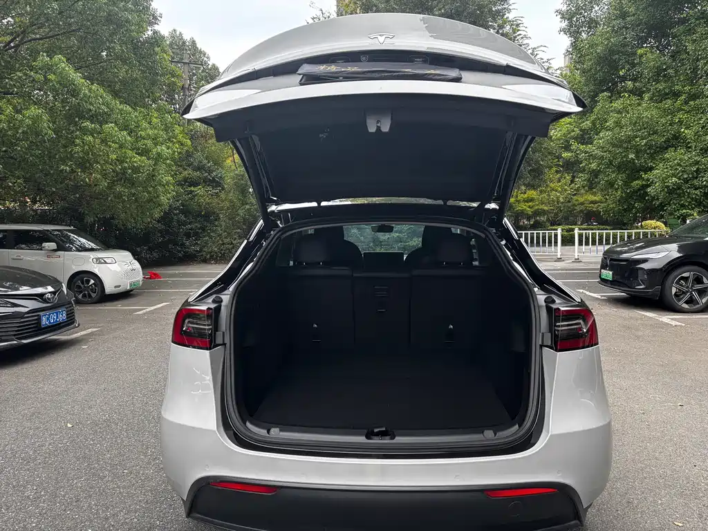 Tesla Model Y — миниатюра 9