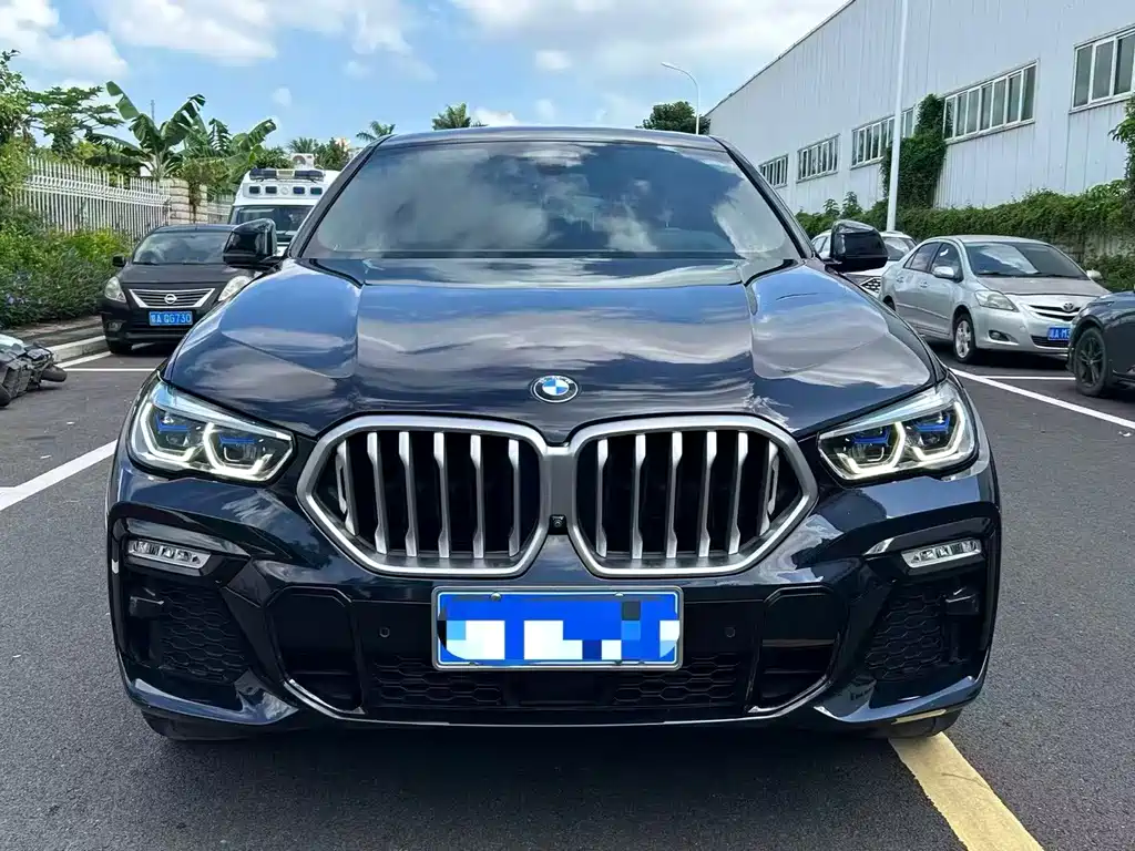 BMW X6 — миниатюра 2