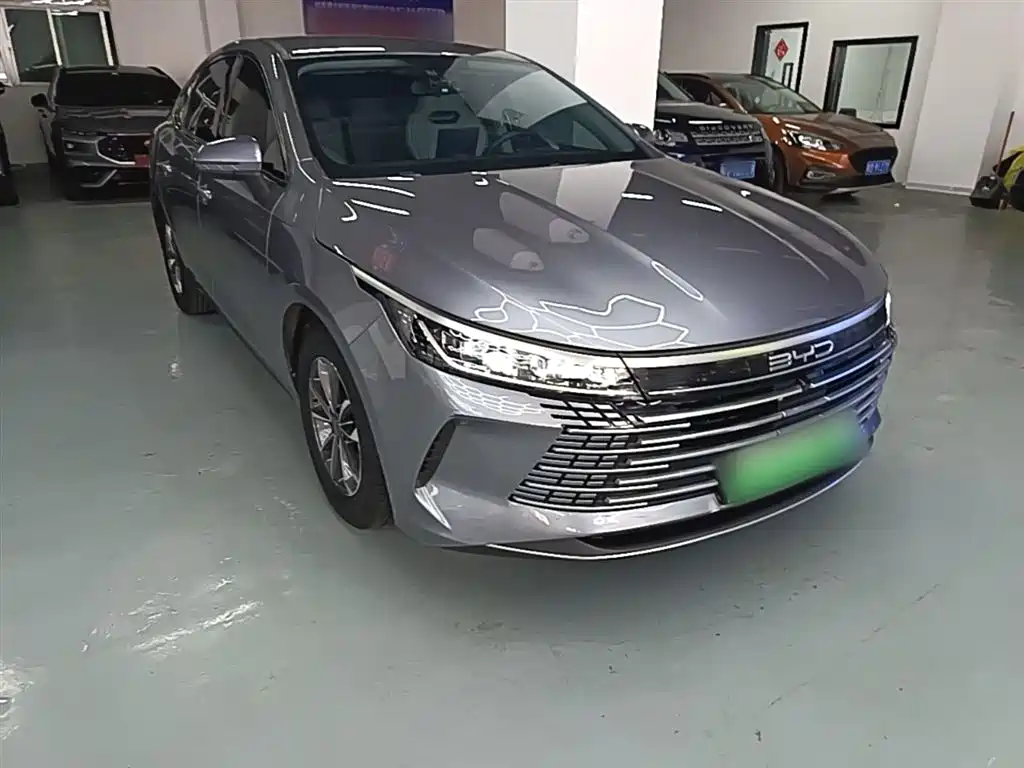 BYD Destroyer 05 2024 Glory Edition DM-i 55KM Luxury Type
