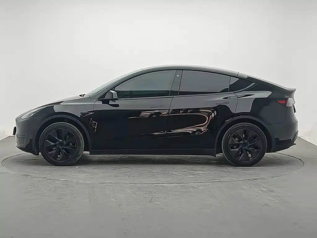 Tesla Model Y — миниатюра 2