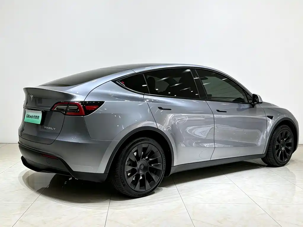 Tesla Model Y — миниатюра 18