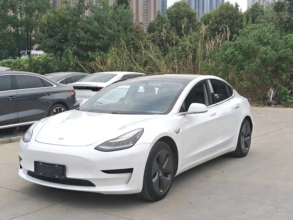 Tesla Model 3 — миниатюра 3