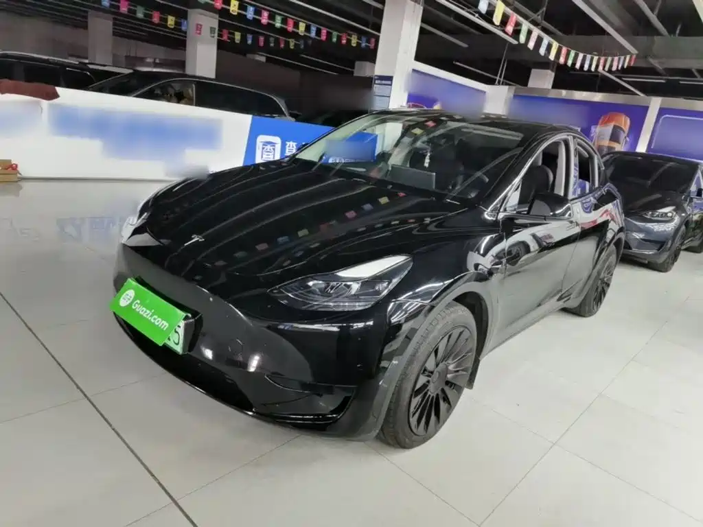 Tesla Model Y — миниатюра 2