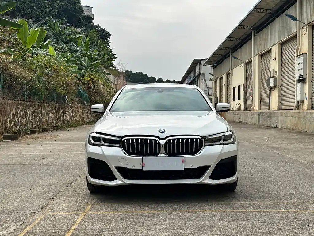 BMW 5 Series — миниатюра 2