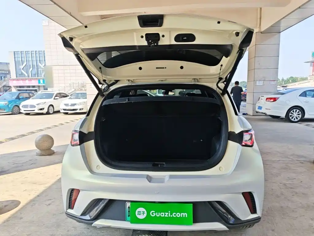 BYD Dolphin — миниатюра 19