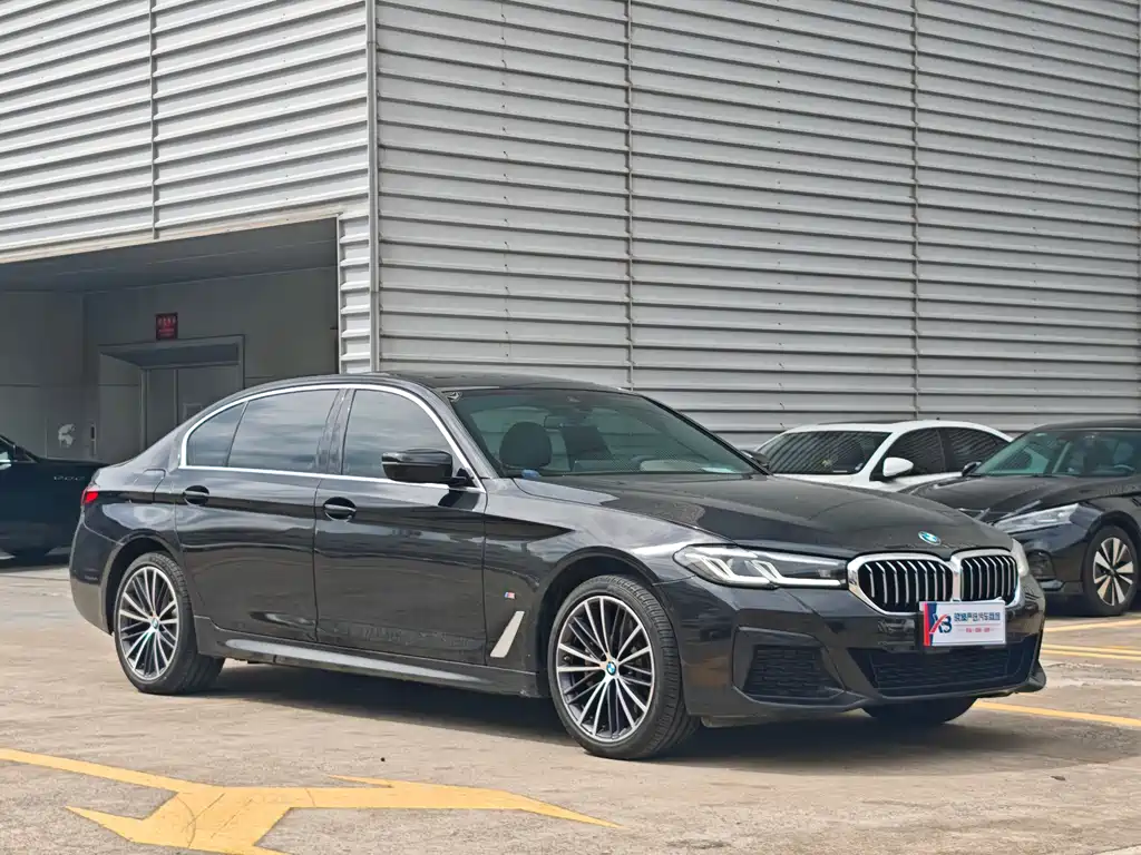 BMW 5 Series — миниатюра 13