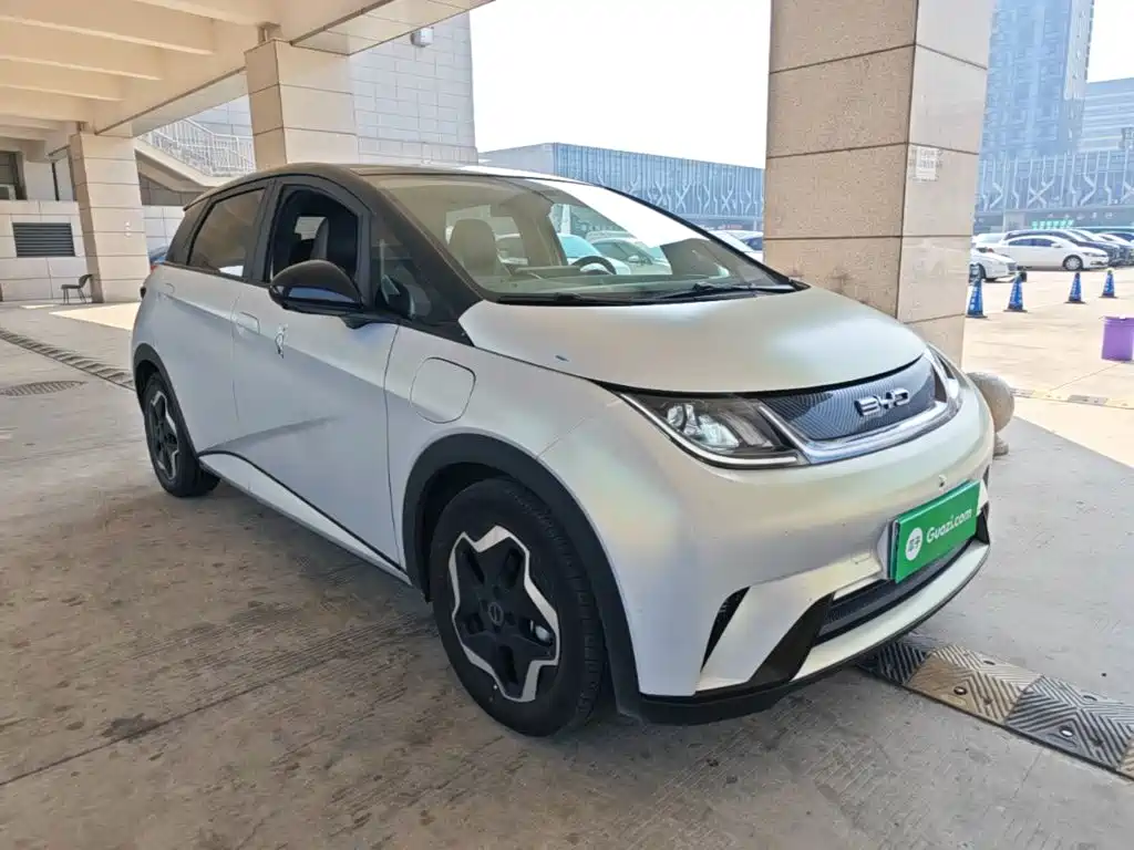 BYD Dolphin — миниатюра 4