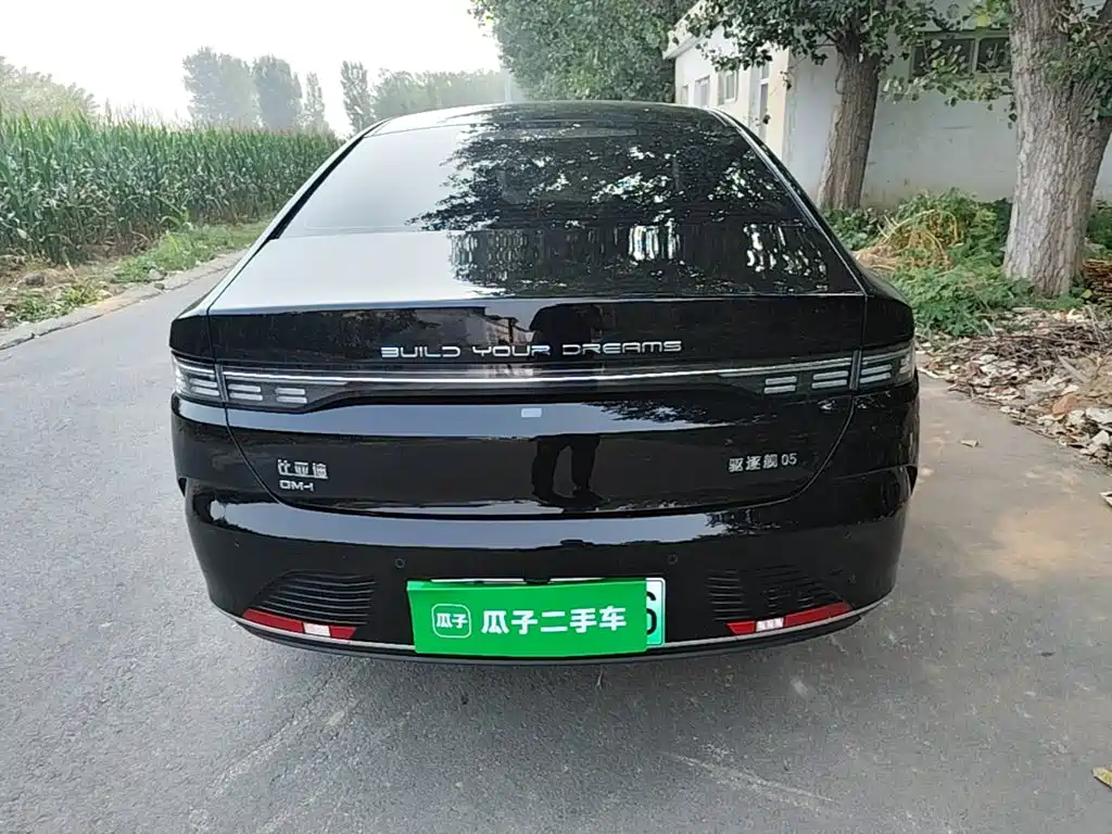 BYD Destroyer 05 — миниатюра 6