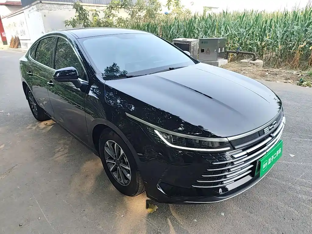 BYD Destroyer 05 — миниатюра 4