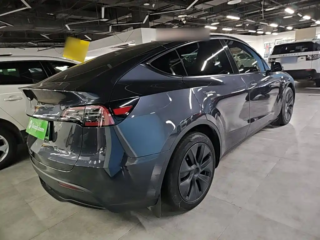 Tesla Model Y — миниатюра 7