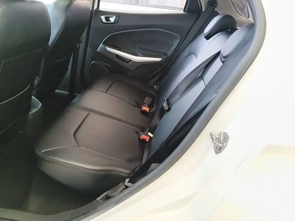Ford Ecosport — миниатюра 17