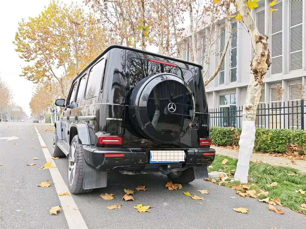 Mercedes-Benz G-Class G 2022 G 350 d