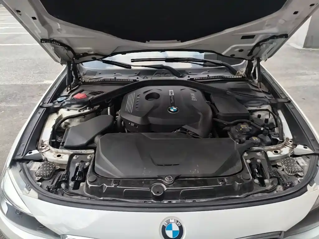 BMW 3 Series GT — миниатюра 20