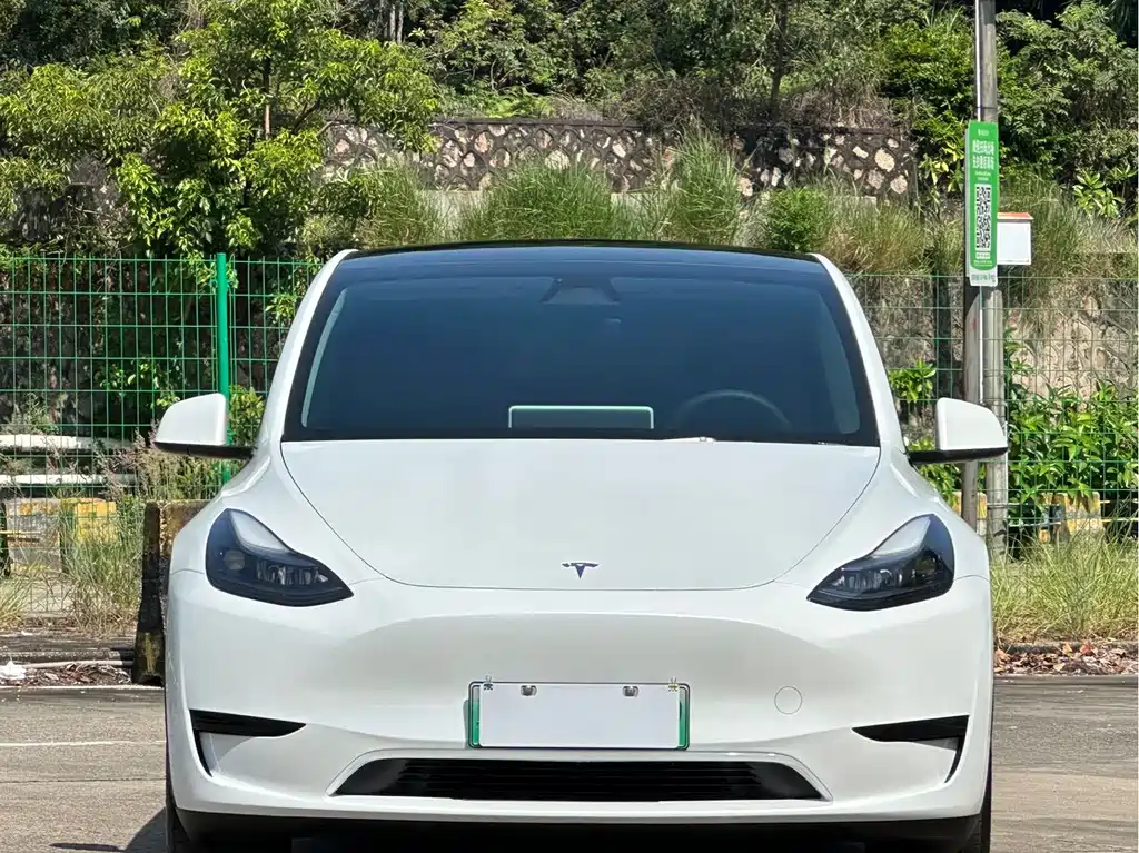 Tesla Model Y — миниатюра 2