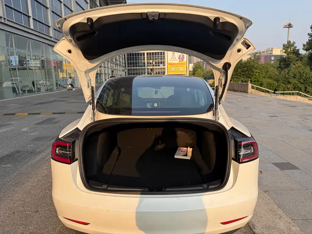 Tesla Model 3 — миниатюра 19