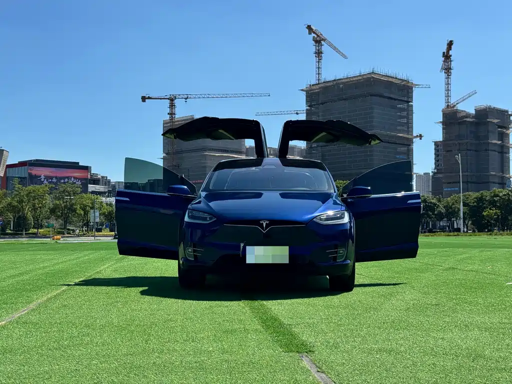 Tesla Model X — миниатюра 17
