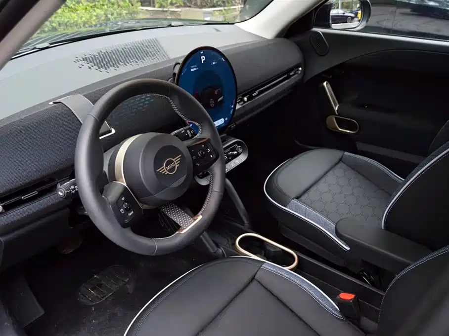 MINI MINI ACEMAN EV — миниатюра 8