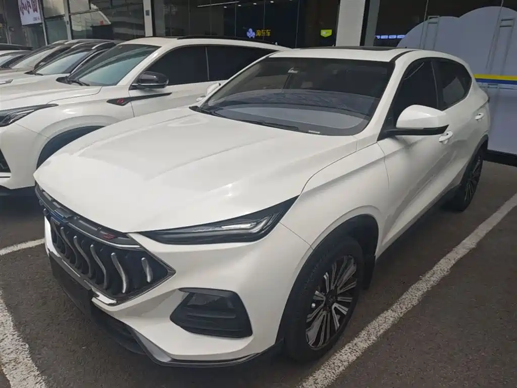 Oshan Oushang X5 2021