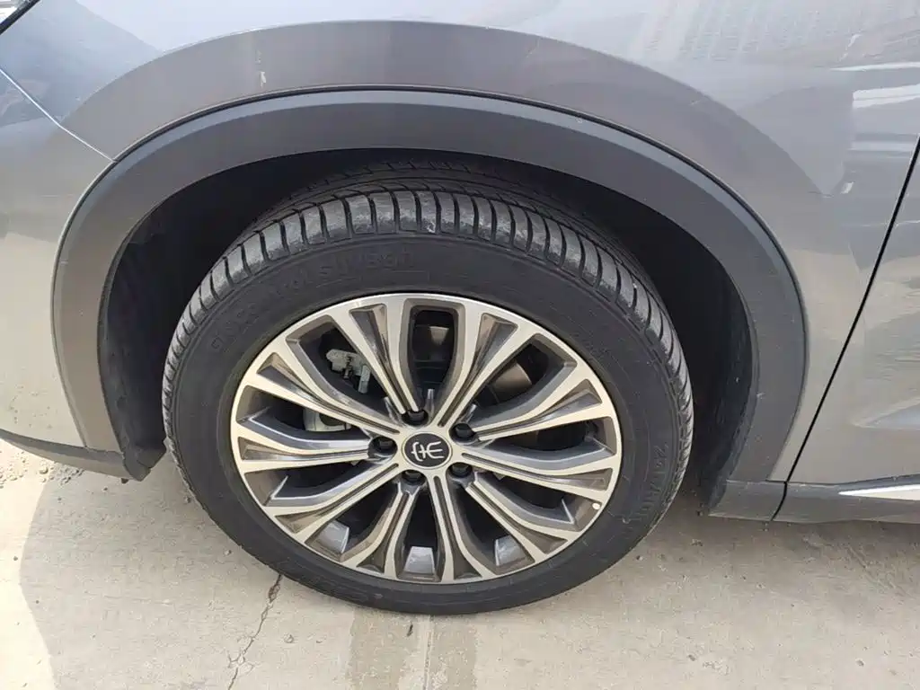 BYD Pro New Energy — миниатюра 23