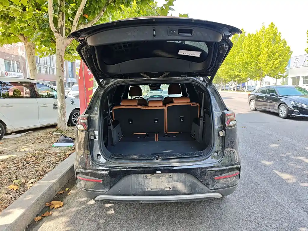 BYD Tang New Energy — миниатюра 19
