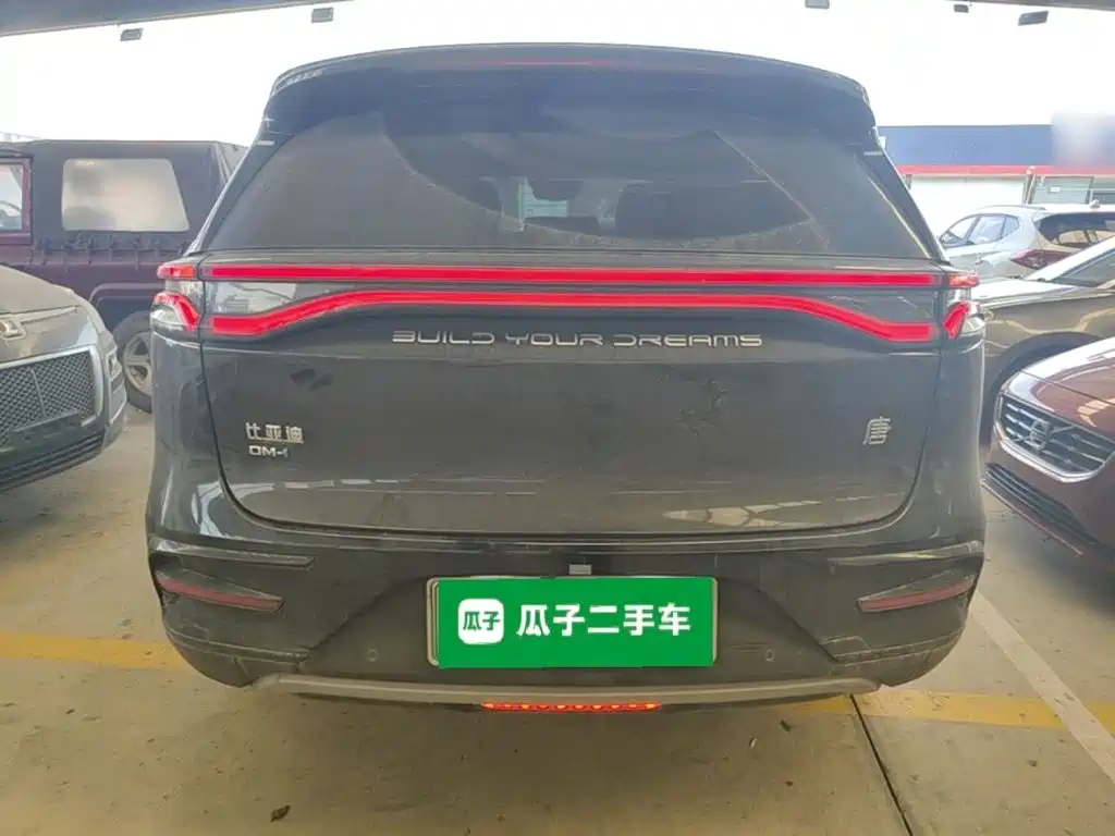 BYD Tang New Energy — миниатюра 4