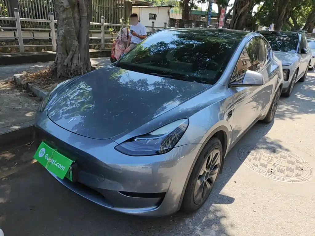 Tesla Model Y — миниатюра 2