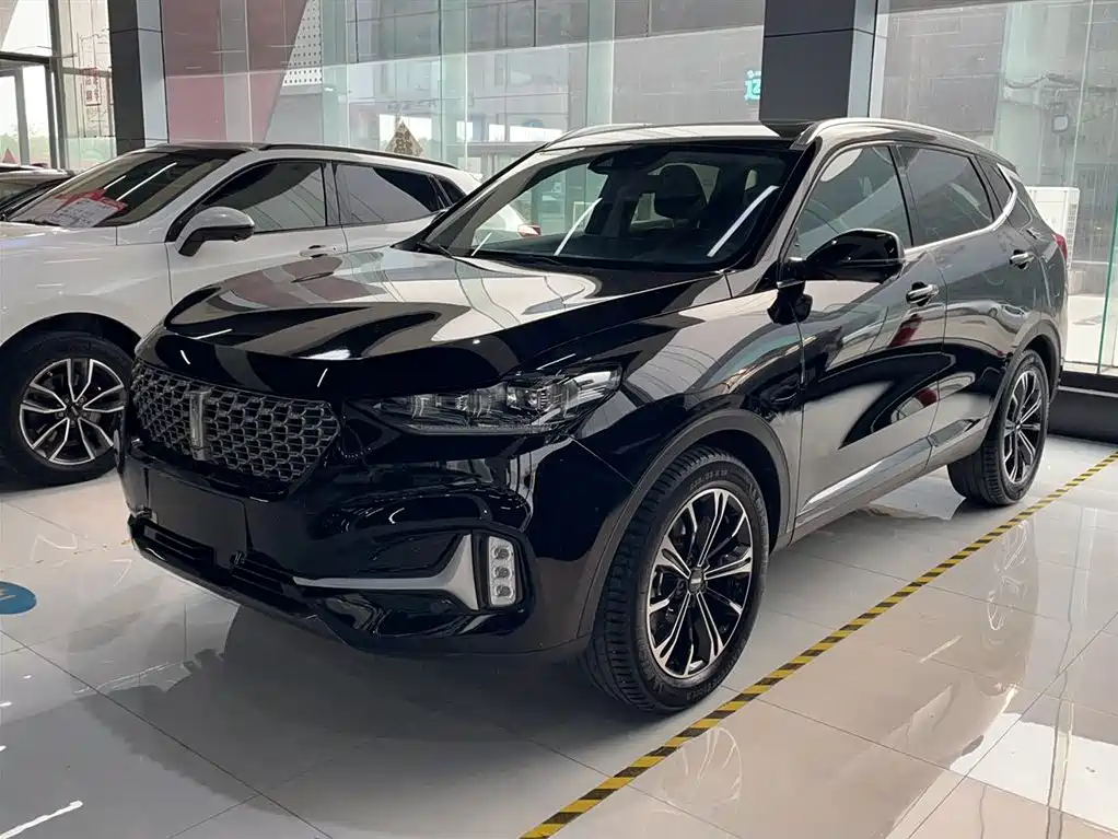 Wey Wey VV6 2021