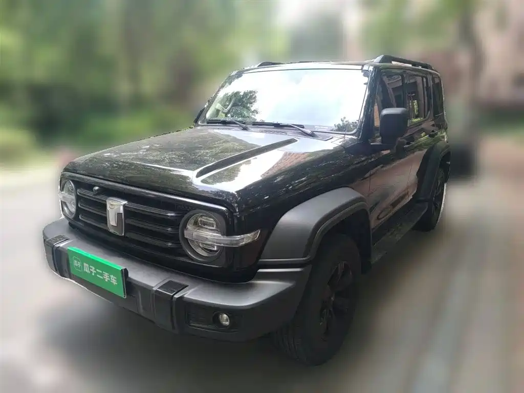 Tank Tank 300 2024