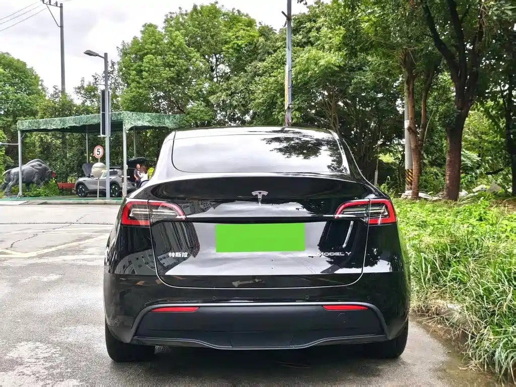 Tesla Model Y — миниатюра 4
