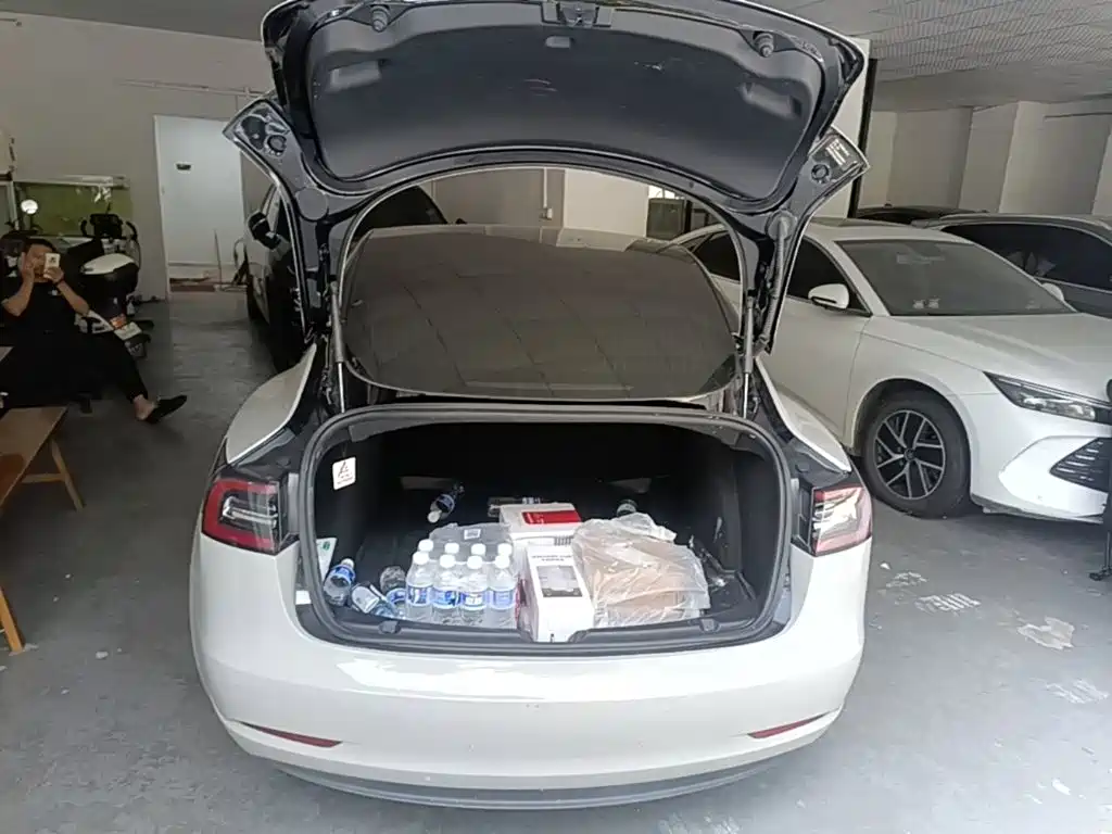 Tesla Model 3 — миниатюра 19