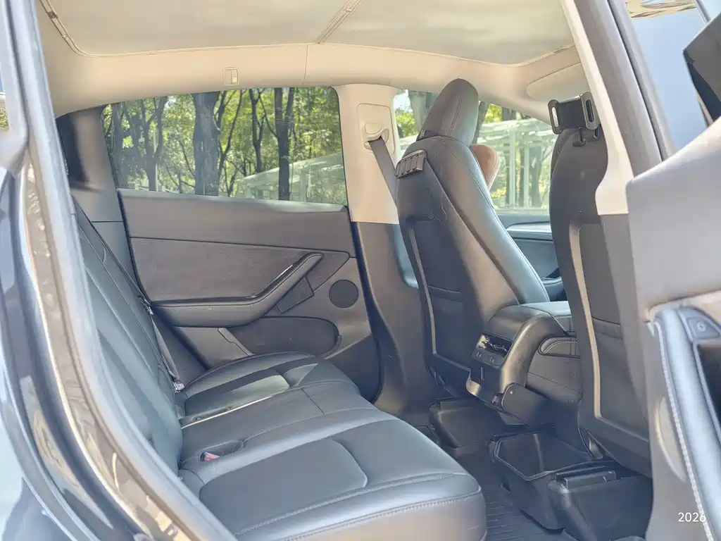 Tesla Model Y — миниатюра 10