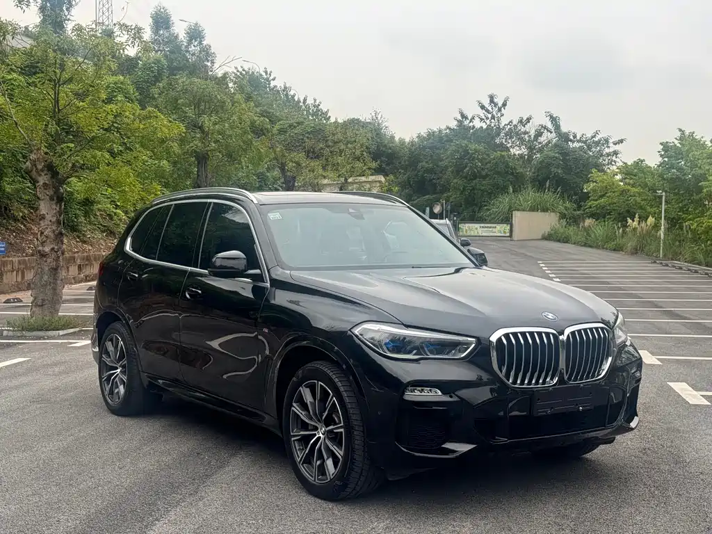 BMW X5 (Import) — миниатюра 3
