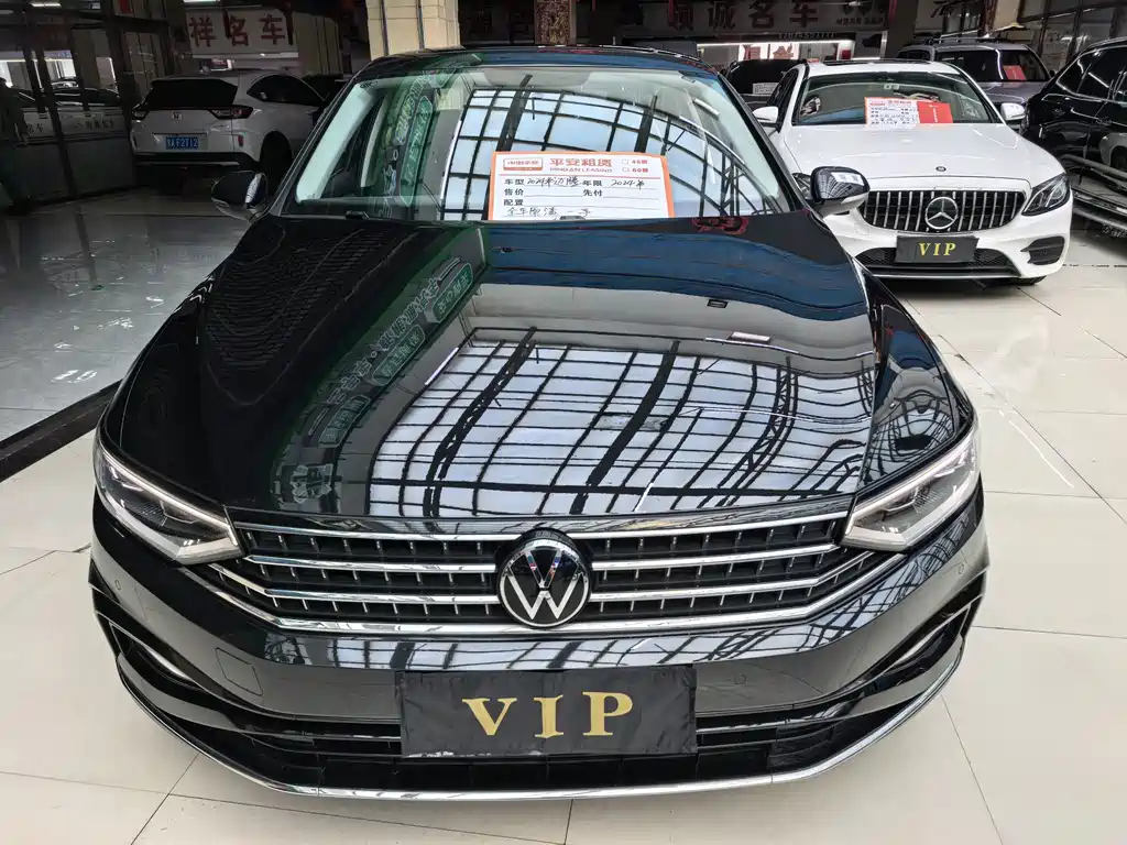 Volkswagen Magotan — миниатюра 2