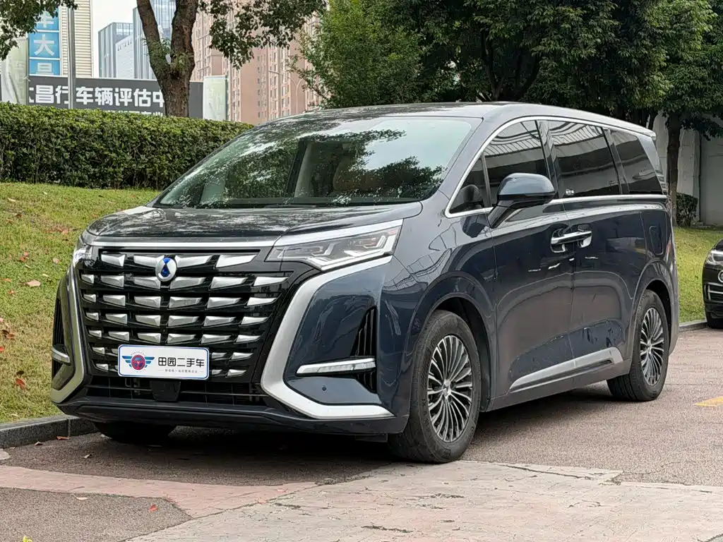 Denza Denza D9