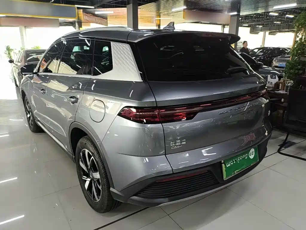 BYD Pro New Energy — миниатюра 5