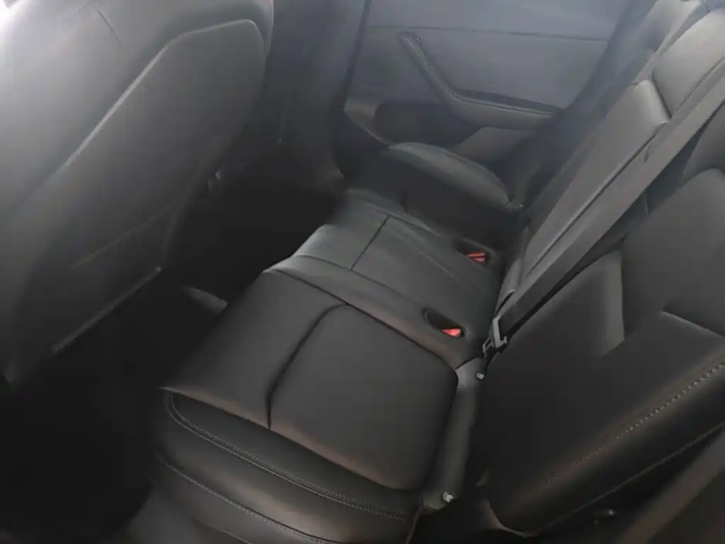 Tesla Model Y — миниатюра 17