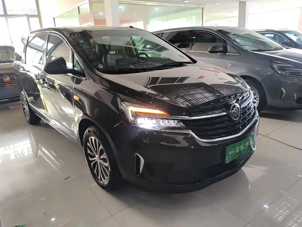 Buick GL8 — миниатюра 4