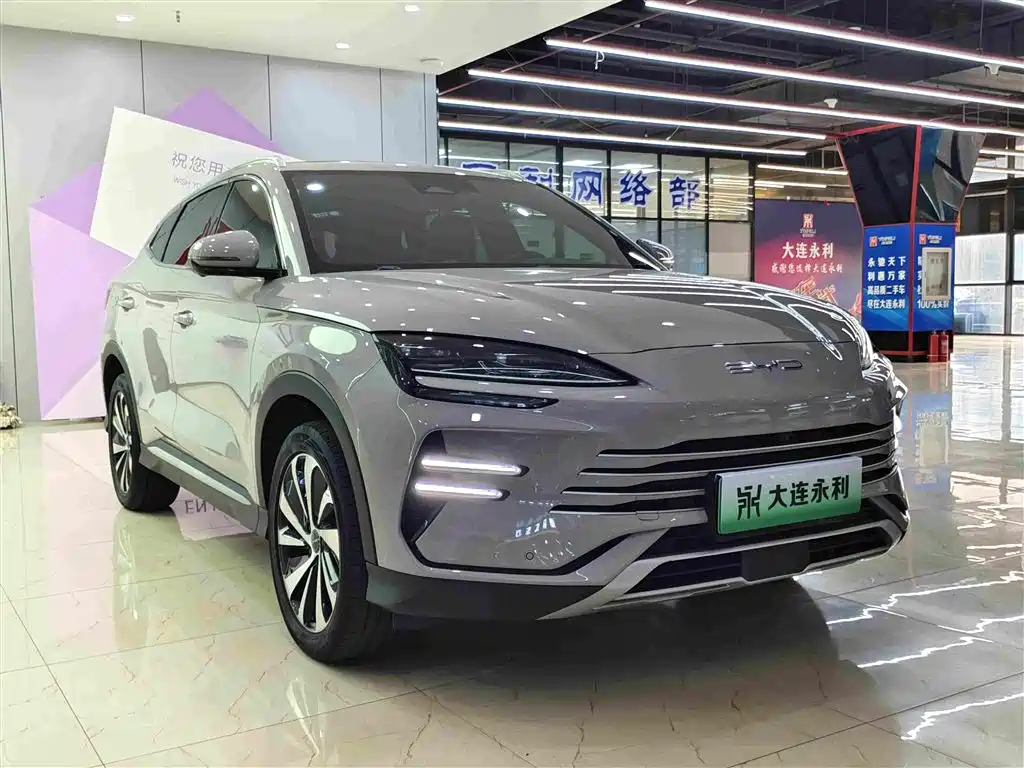 BYD PLUS New Energy — миниатюра 3