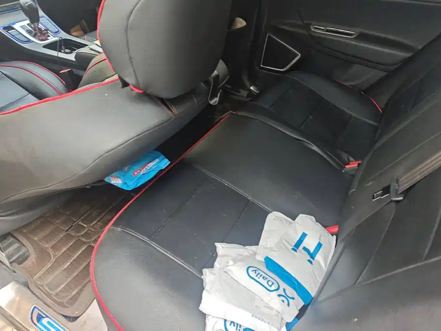 Geely Emgrand GS — миниатюра 11