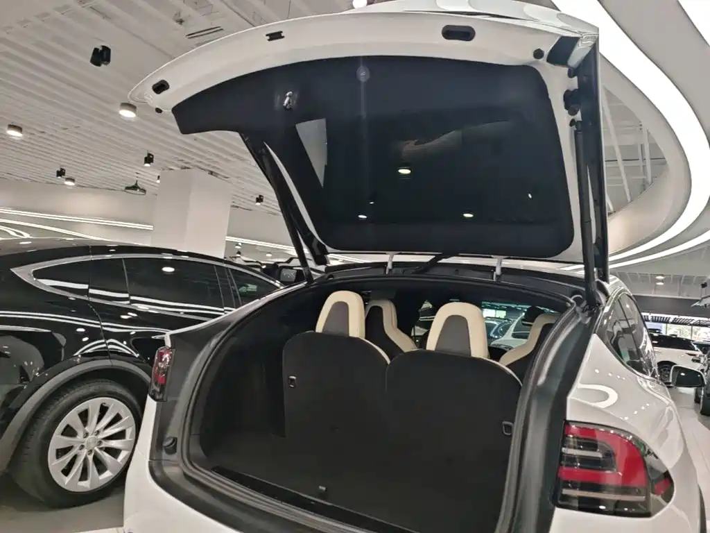 Tesla Model X — миниатюра 19
