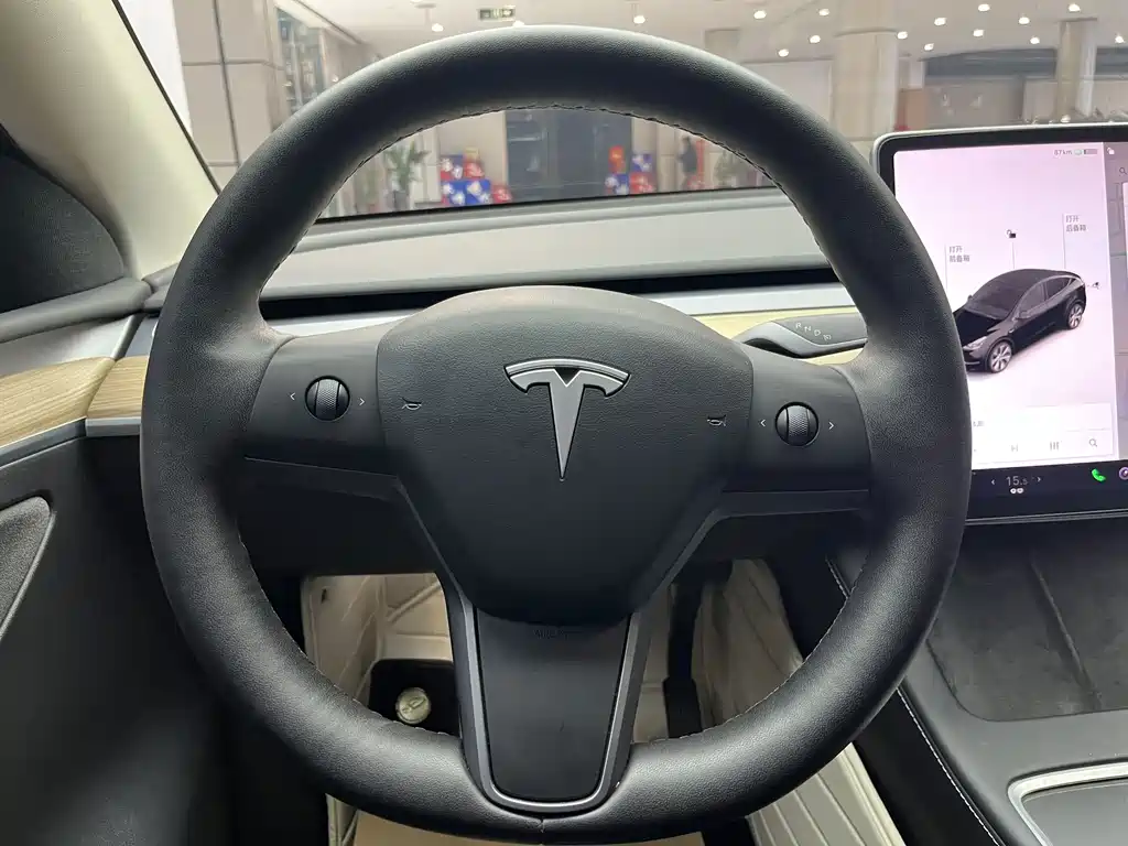 Tesla Model Y — миниатюра 17