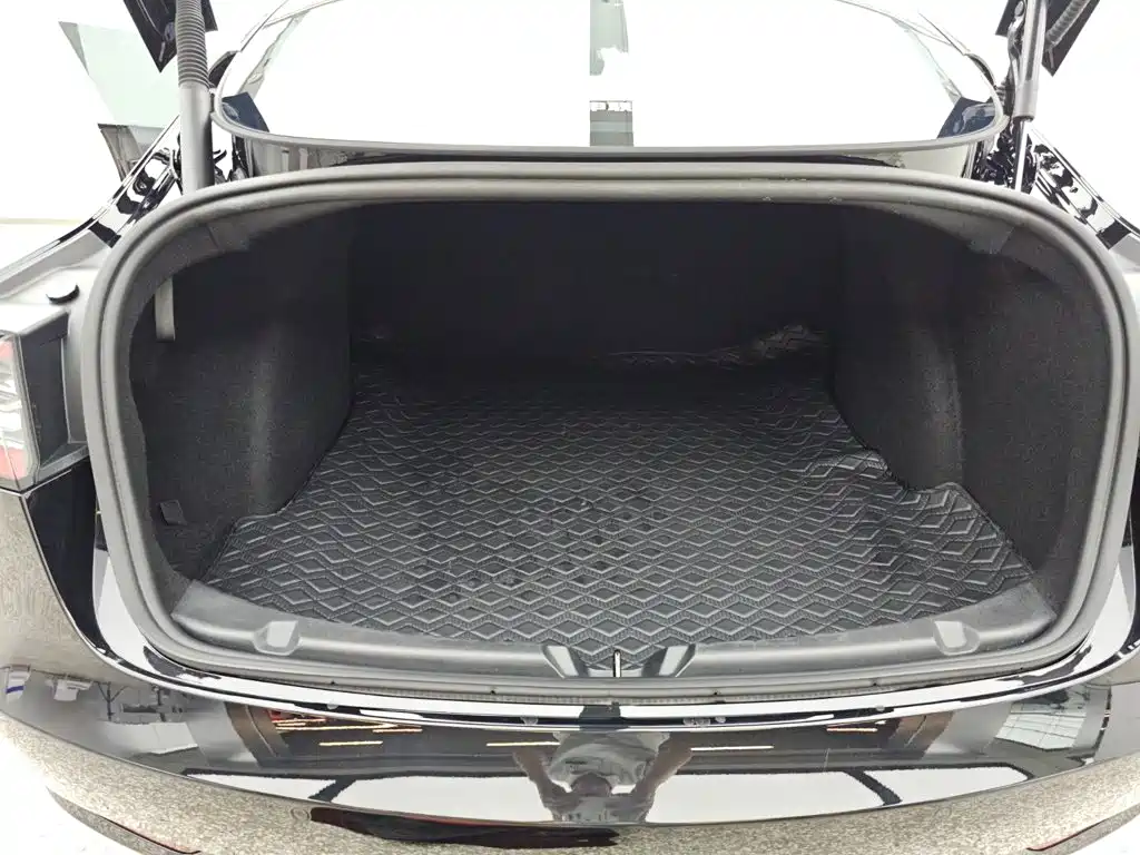 Tesla Model 3 — миниатюра 14