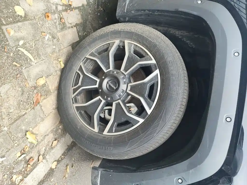 Haval Big Dog PLUS New Energy — миниатюра 26